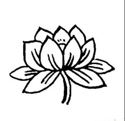 简笔画盛开的荷花的具体画法步骤图片教程