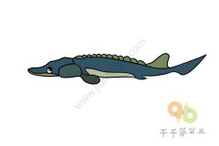 中华鲟简笔画