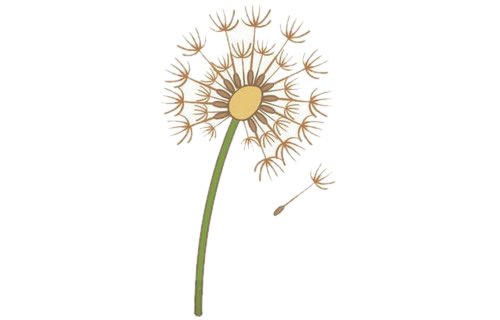 蒲公英简笔画完成图