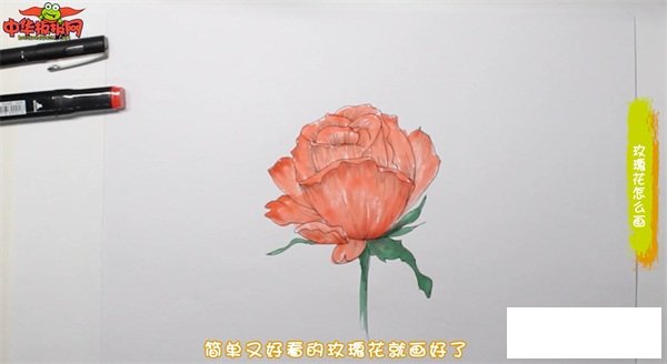 玫瑰花怎么画