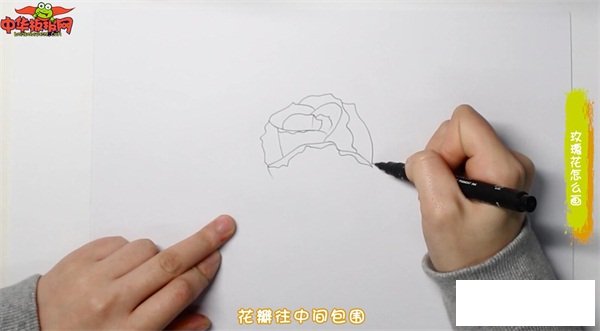 玫瑰花怎么画