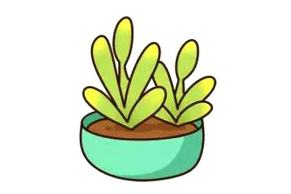 多肉植物简笔画