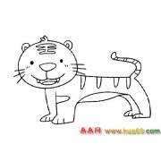 老虎│动物简笔画4