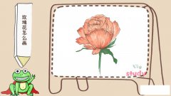 玫瑰花怎么画
