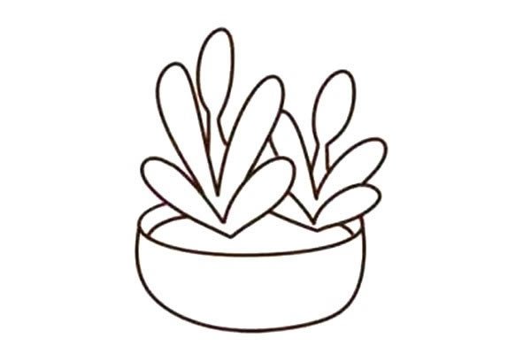 多肉植物简笔画