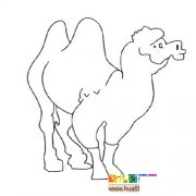 动物简笔画：一只骆驼7