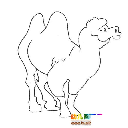 动物简笔画:一只骆驼7