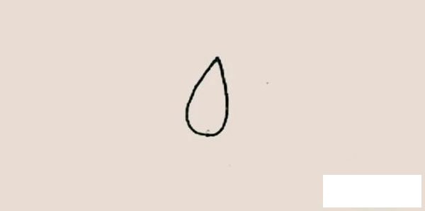 郁金香简笔画图片