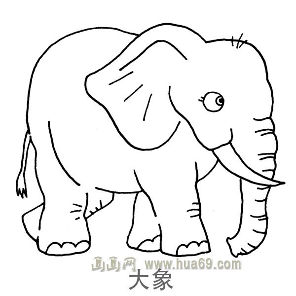 儿童简笔画：粗壮的大象