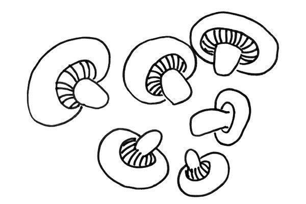 黑白线描蘑菇