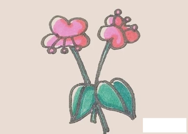 蝴蝶兰简笔画图片