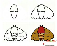 昆虫简笔画大全带颜色,简单的昆虫怎么画