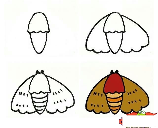 昆虫简笔画大全带颜色,简单的昆虫怎么画