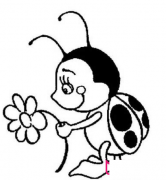 拿着花的七星瓢虫简笔画