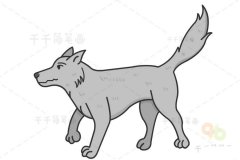狼简笔画 动物简笔画