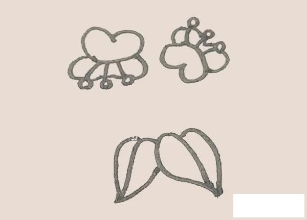 蝴蝶兰简笔画图片