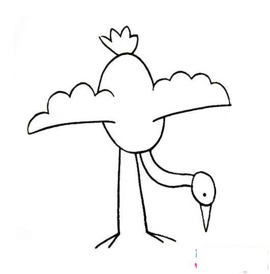 幼儿园丹顶鹤简笔画图片