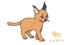 猞猁简笔画怎么画