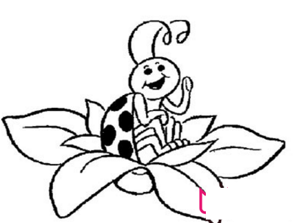 七星瓢虫简笔画，花朵上的七星瓢虫