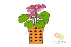 长寿花步骤简笔画