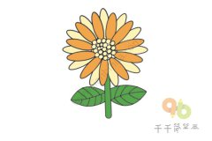 阳光温暖的向日葵简笔画图片