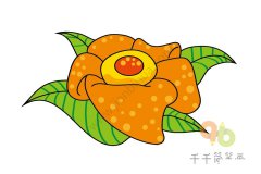 阿诺蒂大草花简笔画怎么画