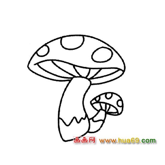 植物简笔画：松口蘑1