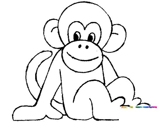 动物简笔画：可爱的小猴子5