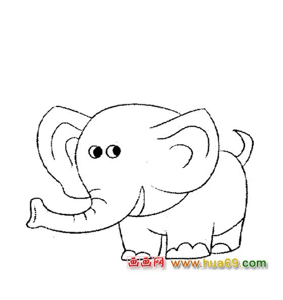 大象简笔画：又高又大4