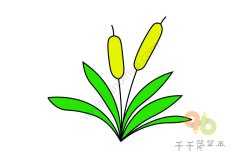 院子里漂亮的花朵简笔画