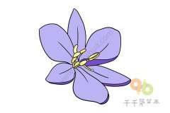 雨久花简笔画画法