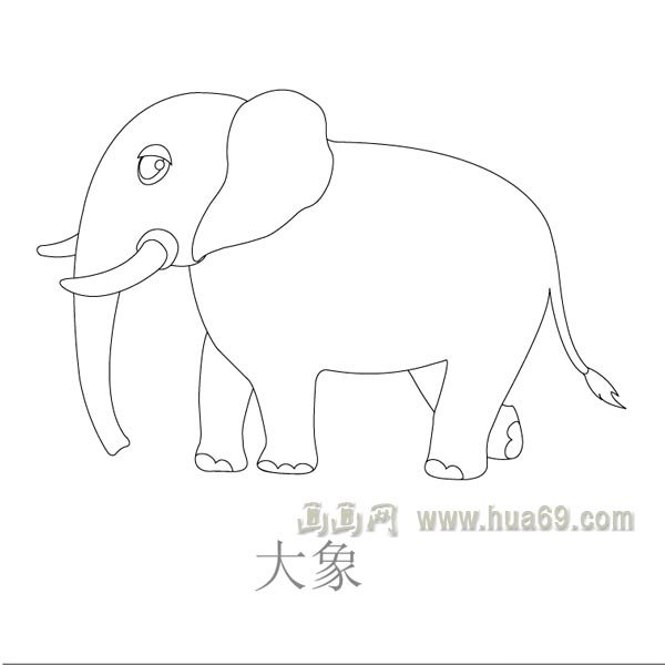 儿童简笔画:悠闲的大象