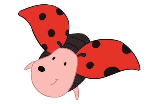 七星瓢虫简笔画图片