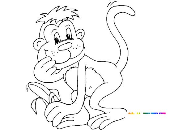 动物简笔画：可爱的小猴子6