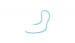 蜗牛简笔画绘画步骤图教程