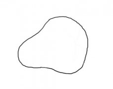 莲雾简笔画四部画出