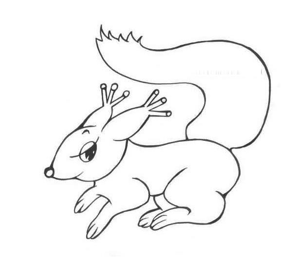 幼儿简笔画:一只跑步的小松鼠简笔画
