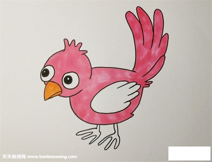 小鸟怎么画简单又好看