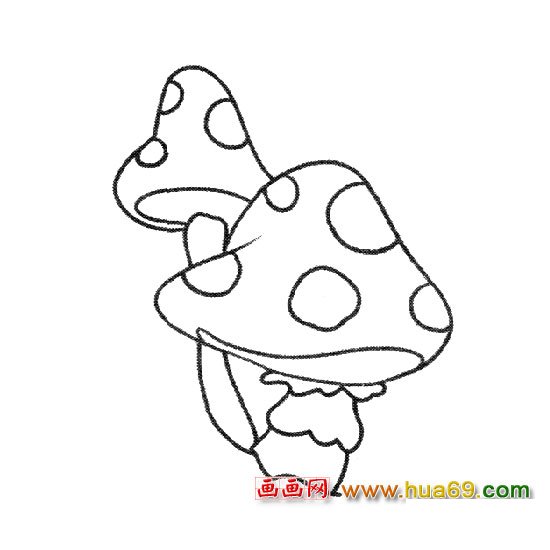 植物简笔画：洋蘑菇