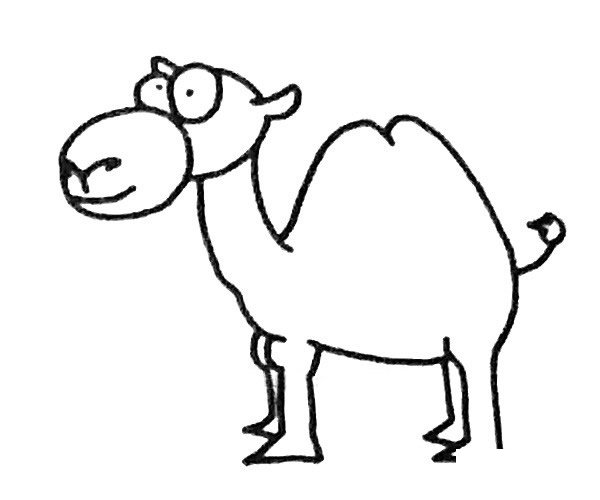 骆驼简笔画步骤4