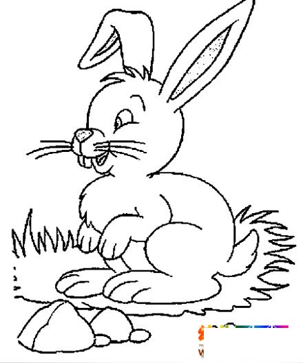 调皮小兔子简笔画5