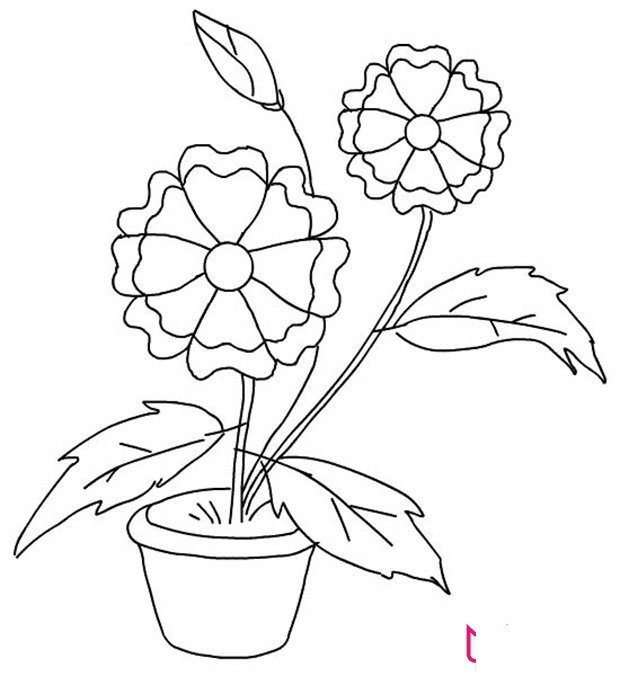 太空花简笔画图片