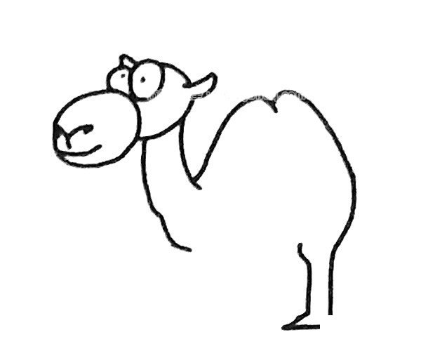 骆驼简笔画步骤2