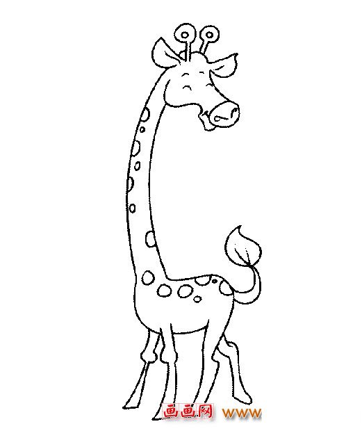 动物简笔画(长颈鹿)1