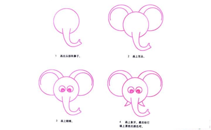 彩色简笔画大象头的图片教程