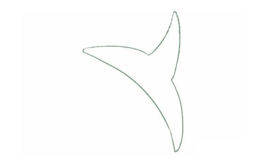 百合花简笔画图片