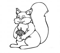 幼儿简笔画:抱着松果的小松鼠