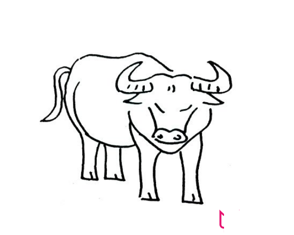 水牛简笔画，如何画一头水牛