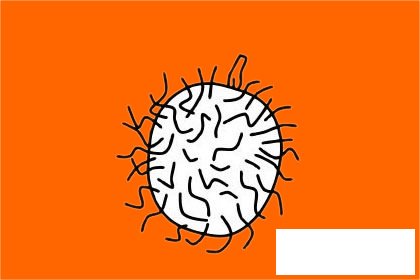 毛丹简笔画图片