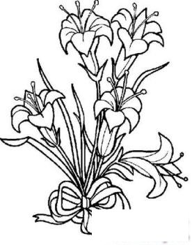 简笔画一束百合花的具体画法步骤图片教程